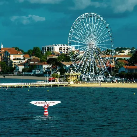 Le De La Appartamento *